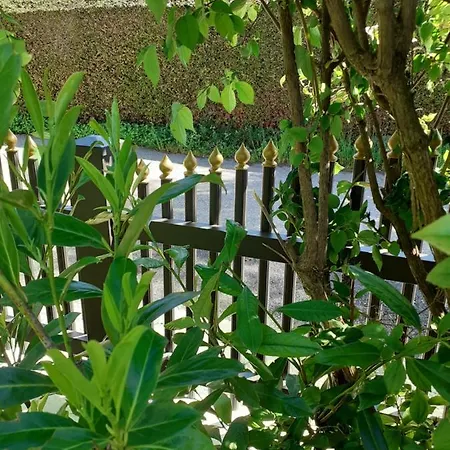 Andrea オイゲンドルフ