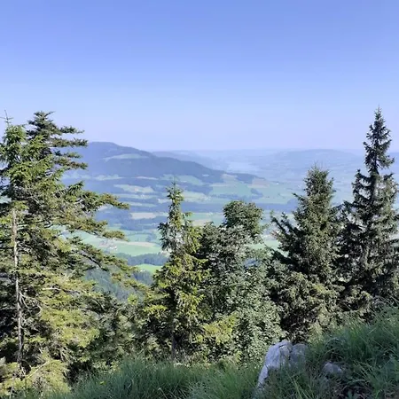 Andrea Apartamento Eugendorf