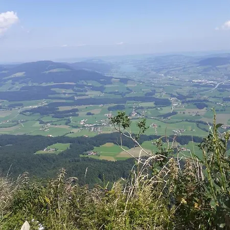 Apartamento Andrea *