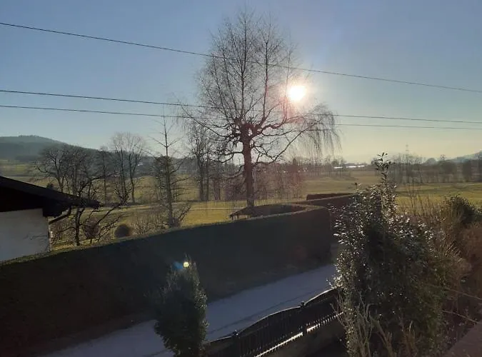 Διαμέρισμα Andrea