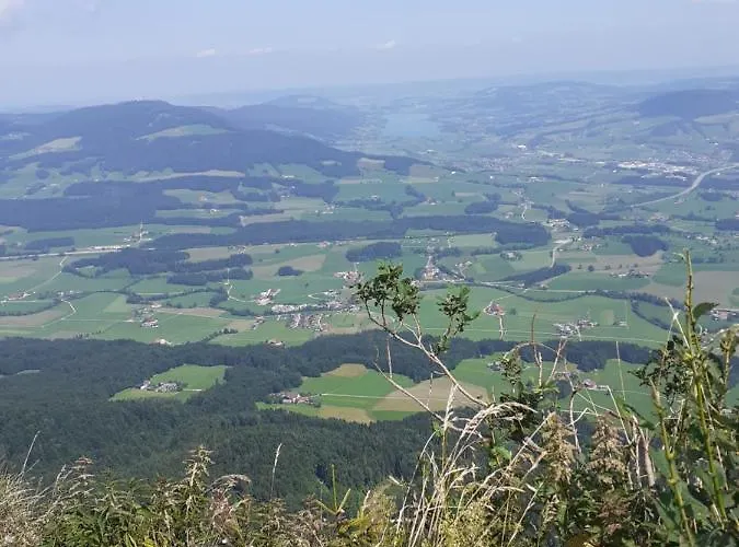 Διαμέρισμα Andrea *