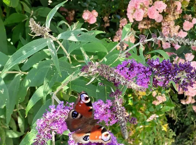 Andrea Διαμέρισμα Eugendorf